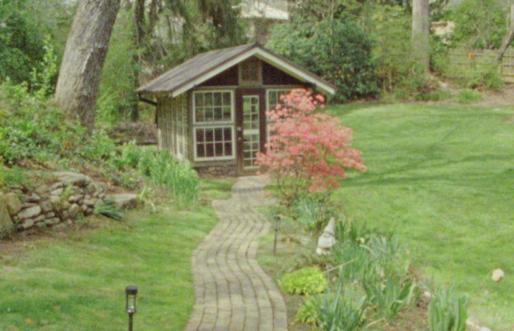 Asheville Airbnb, green backyard, pink cherry blossom trees, on Super 8 film